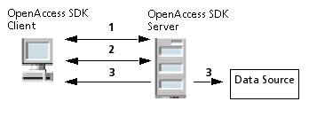 The ODBC Client and the OpenAccess SDK Server established communications, then the OpenAccess SDK Server connects to the data store, establishing communication between the Client and the data store.